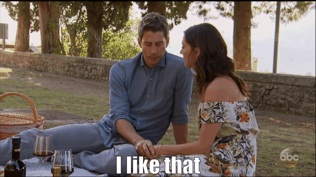 Image result for i like that bachelor arie gif
